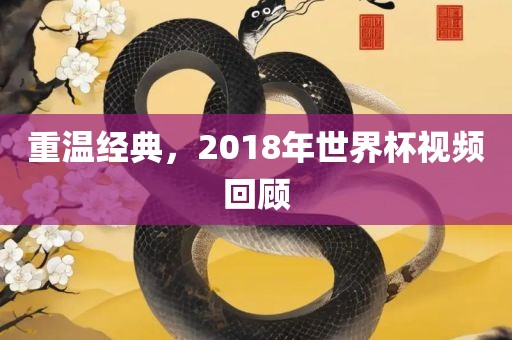 重温经典,2018年世界杯视频回顾