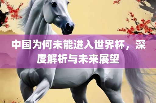 中国为何未能进入世界杯，深度解析与未来展望