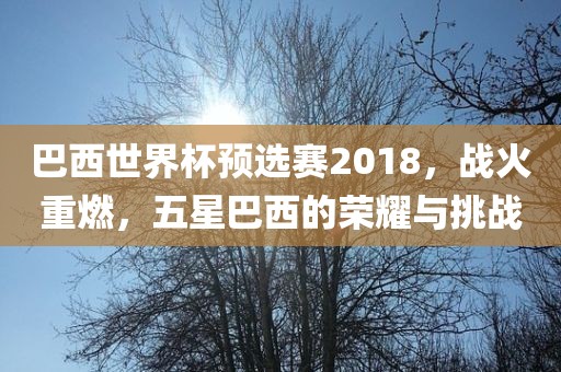 巴西世界杯预选赛2018,战火重燃,五星巴西的荣耀与挑战
