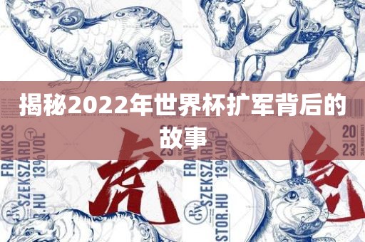揭秘2022年世界杯扩军背后的故事
