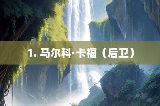 1. 马尔科·卡福（后卫）