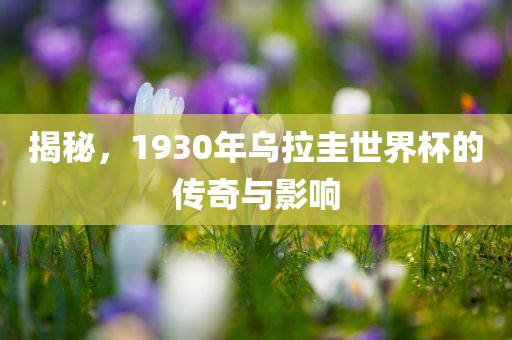 揭秘，1930年乌拉圭世界杯的传奇与影响