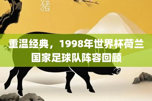 重温经典,1998年世界杯荷兰国家足球队阵容回顾