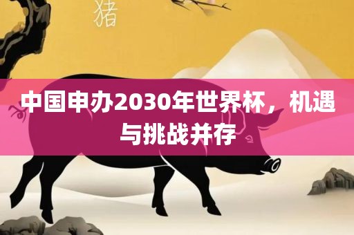 中国申办2030年世界杯，机遇与挑战并存