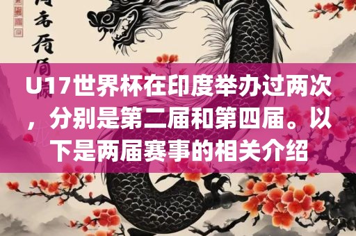 U17世界杯在印度举办过两次，分别是第二届和第四届。以下是两届赛事的相关介绍