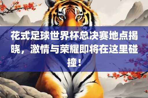 花式足球世界杯总决赛地点揭晓，激情与荣耀即将在这里碰撞！