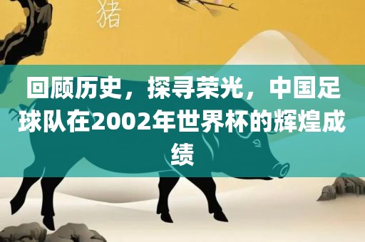 回顾历史,探寻荣光,中国足球队在2002年世界杯的辉煌成绩