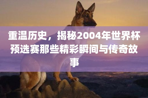 重温历史，揭秘2004年世界杯预选赛那些精彩瞬间与传奇故事