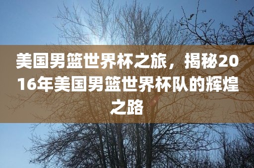 美国男篮世界杯之旅,揭秘2016年美国男篮世界杯队的辉煌之路