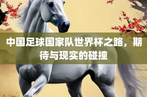 中国足球国家队世界杯之路,期待与现实的碰撞