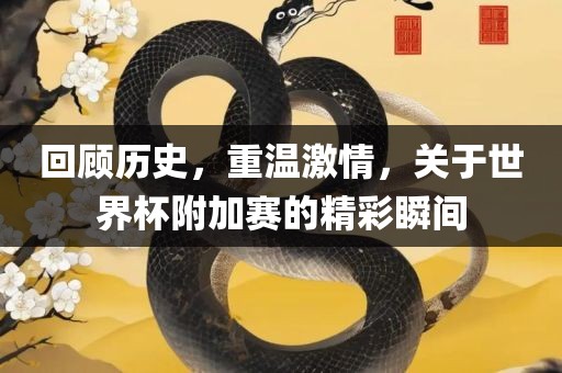 回顾历史，重温激情，关于世界杯附加赛的精彩瞬间