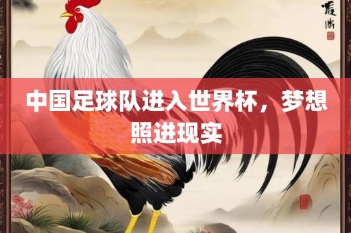 中国足球队进入世界杯,梦想照进现实