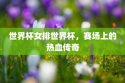 世界杯女排世界杯，赛场上的热血传奇