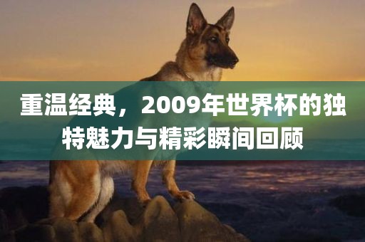 重温经典，2009年世界杯的独特魅力与精彩瞬间回顾