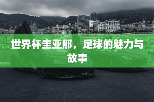 世界杯圭亚那，足球的魅力与故事