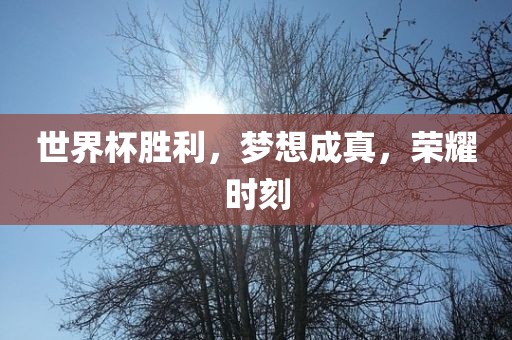 世界杯胜利，梦想成真，荣耀时刻