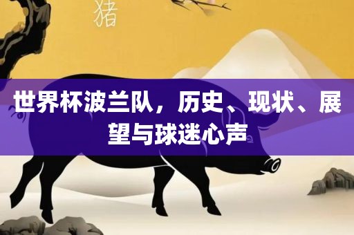 世界杯波兰队，历史、现状、展望与球迷心声