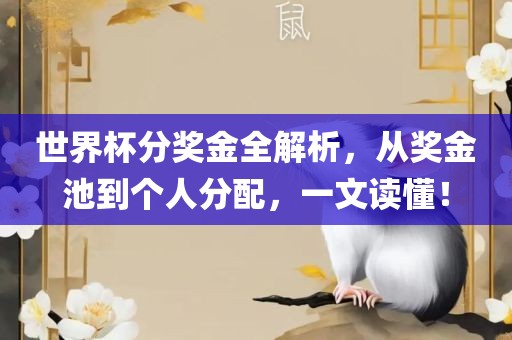 世界杯分奖金全解析，从奖金池到个人分配，一文读懂！