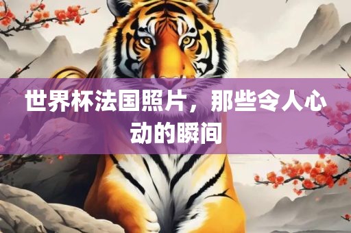 世界杯法国照片，那些令人心动的瞬间