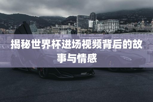 揭秘世界杯进场视频背后的故事与情感