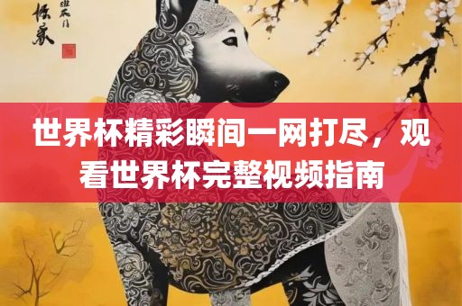 世界杯精彩瞬间一网打尽，观看世界杯完整视频指南