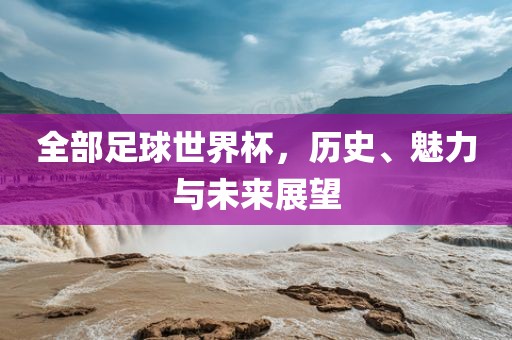 全部足球世界杯,历史、魅力与未来展望