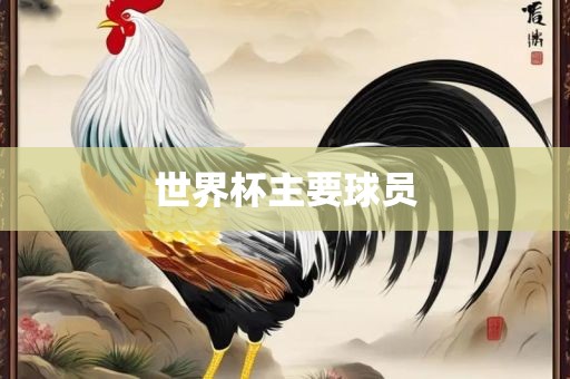 世界杯主要球员