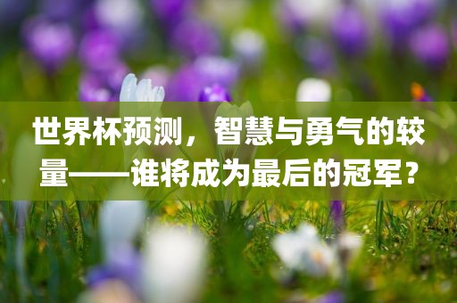 世界杯预测，智慧与勇气的较量——谁将成为最后的冠军？