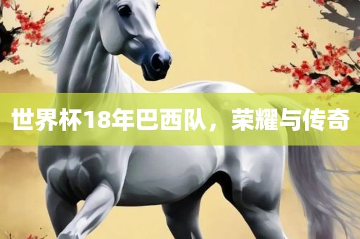 世界杯18年巴西队,荣耀与传奇