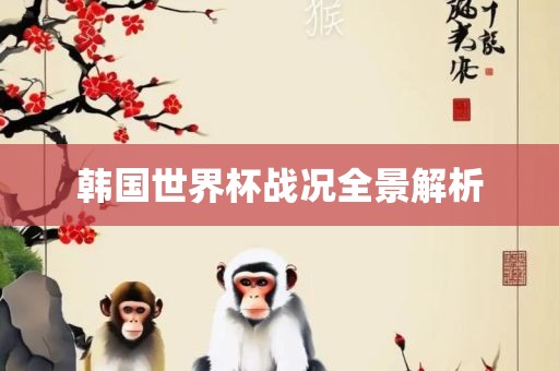 韩国世界杯战况全景解析