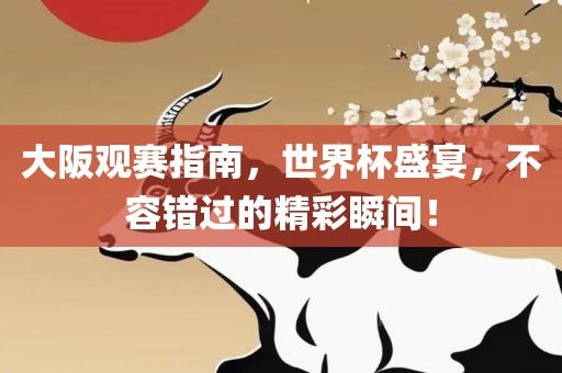 大阪观赛指南，世界杯盛宴，不容错过的精彩瞬间！