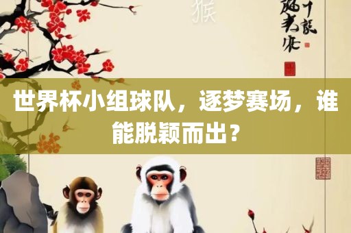 世界杯小组球队，逐梦赛场，谁能脱颖而出？