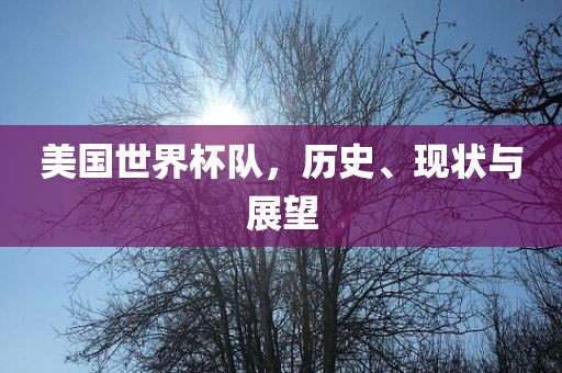 美国世界杯队,历史、现状与展望