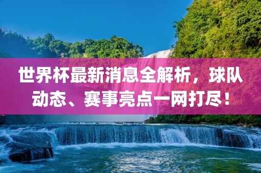 世界杯最新消息全解析，球队动态、赛事亮点一网打尽！