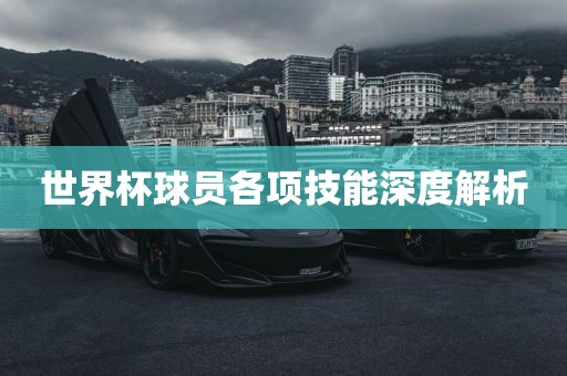 世界杯球员各项技能深度解析