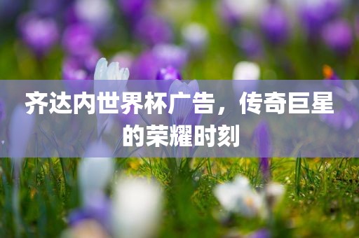 齐达内世界杯广告，传奇巨星的荣耀时刻