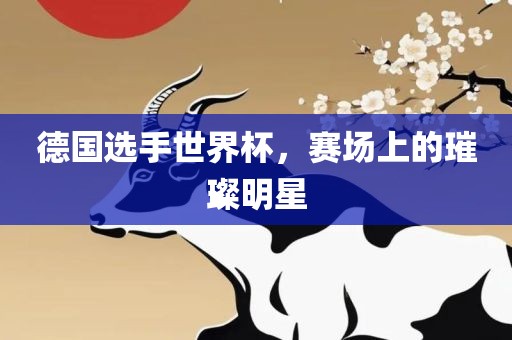 德国选手世界杯，赛场上的璀璨明星
