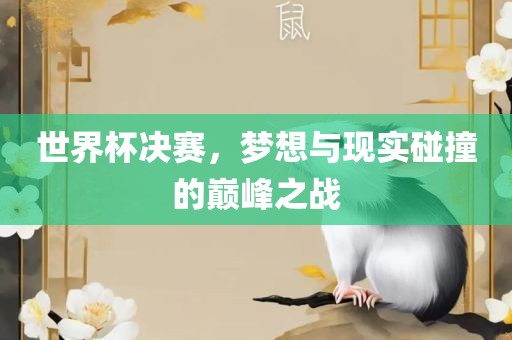 世界杯决赛，梦想与现实碰撞的巅峰之战