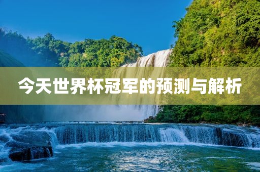 今天世界杯冠军的预测与解析