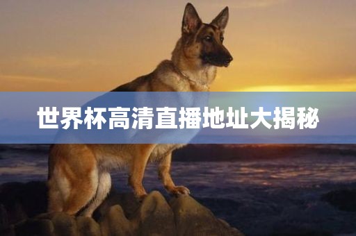 世界杯高清直播地址大揭秘