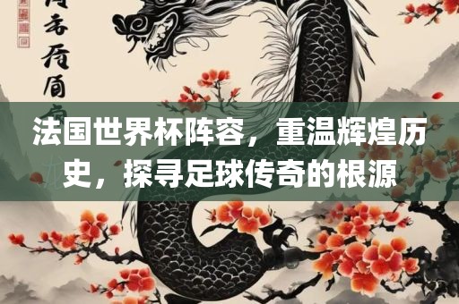 法国世界杯阵容，重温辉煌历史，探寻足球传奇的根源