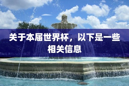 关于本届世界杯，以下是一些相关信息