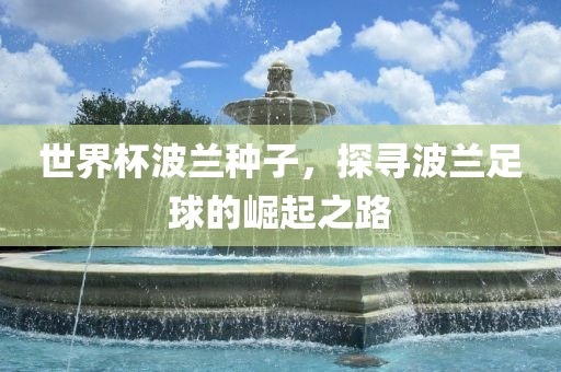 世界杯波兰种子，探寻波兰足球的崛起之路