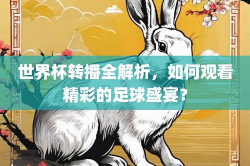 世界杯转播全解析，如何观看精彩的足球盛宴？