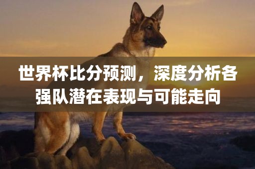 世界杯比分预测，深度分析各强队潜在表现与可能走向