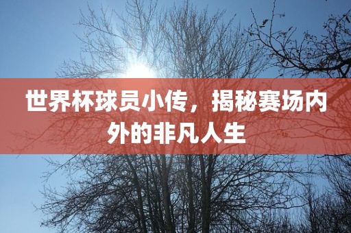 世界杯球员小传，揭秘赛场内外的非凡人生