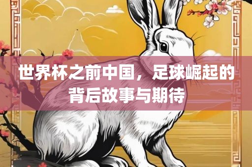 世界杯之前中国，足球崛起的背后故事与期待