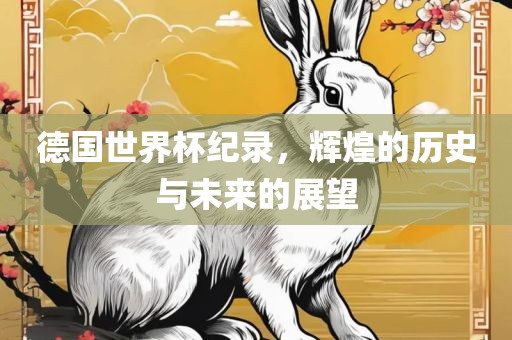 德国世界杯纪录，辉煌的历史与未来的展望