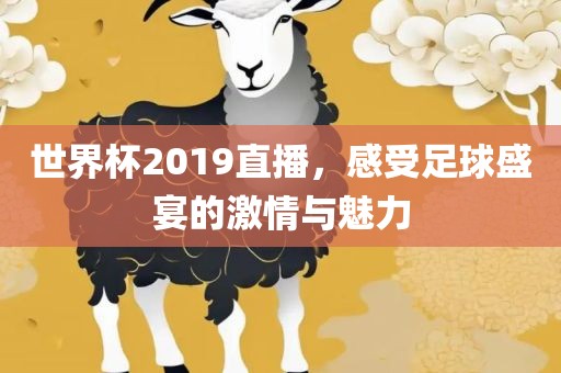 世界杯2019直播，感受足球盛宴的激情与魅力