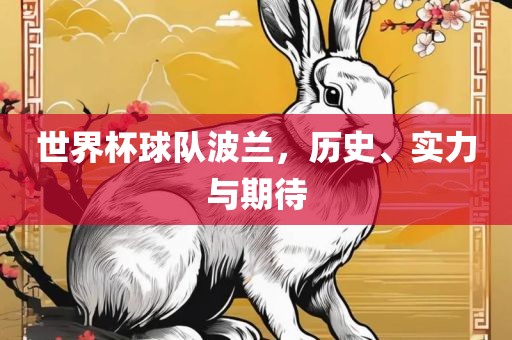 世界杯球队波兰，历史、实力与期待